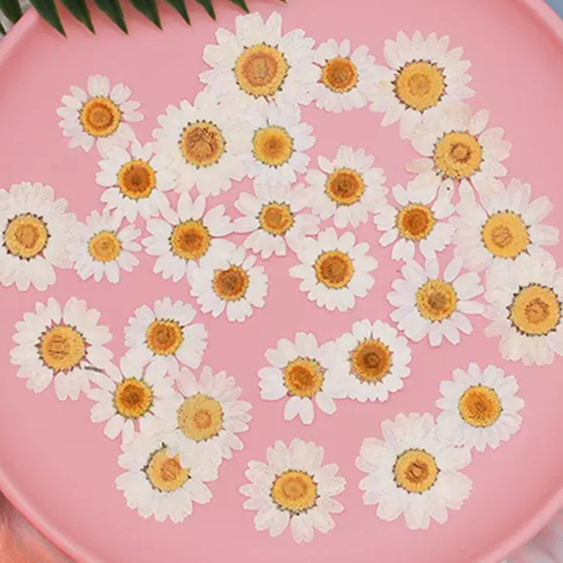 Home Bathroom Set - 100Pcs Natural White Crystal Chrysanthemum Daisy