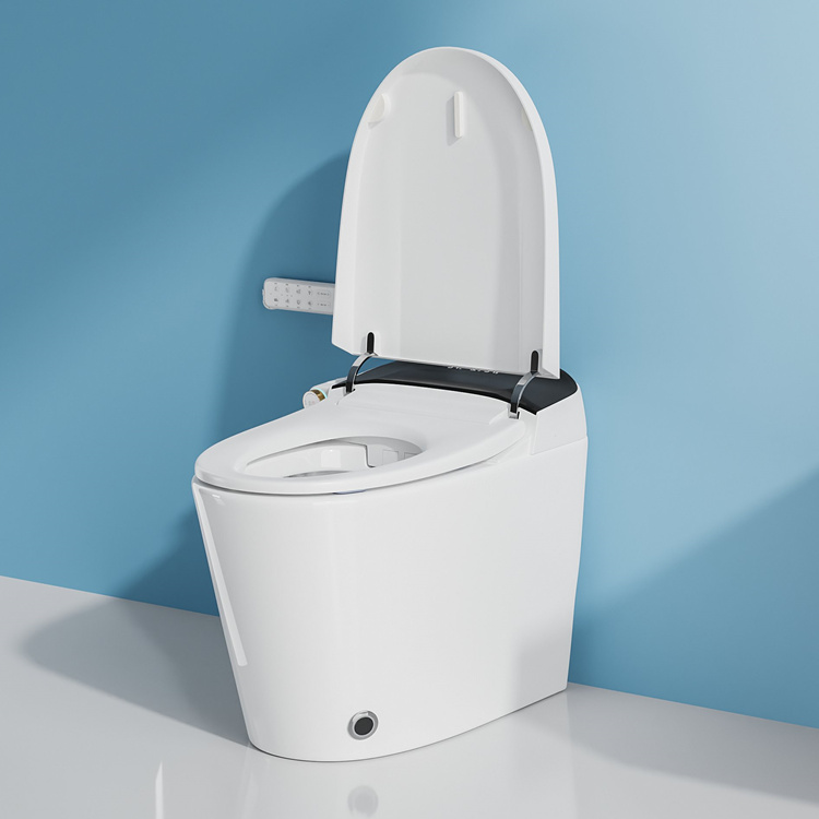 Home Decoration Bathroom Smart - Home Bathroom ulasan dan harga